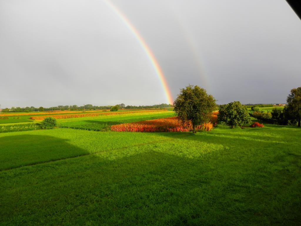 Agriturismo Cjargnei Povoletto ภายนอก รูปภาพ